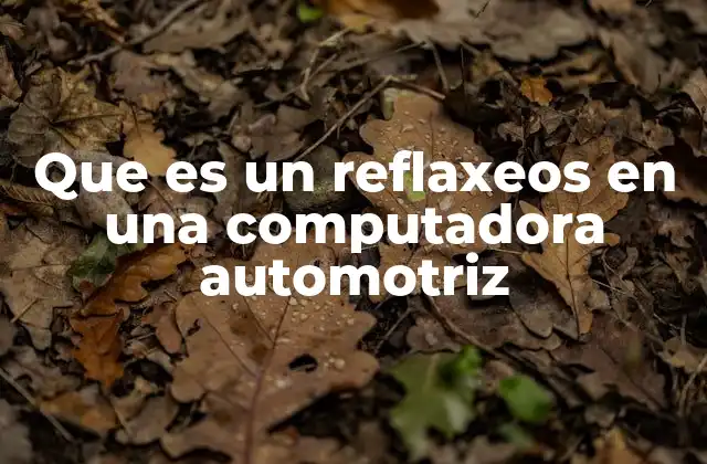 Que es un Reflaxeos en una Computadora Automotriz