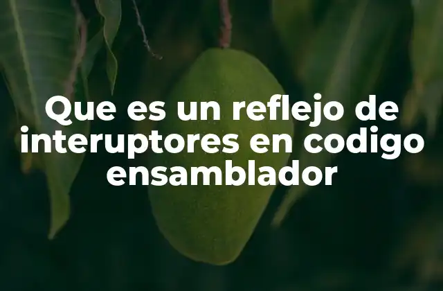 Que es un Reflejo de Interuptores en Codigo Ensamblador