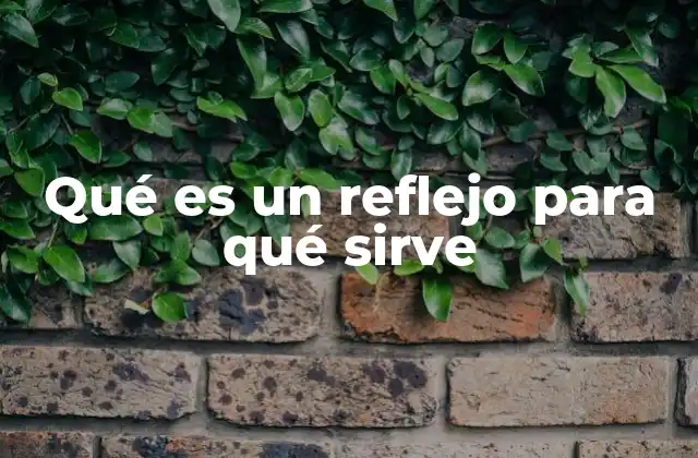 El papel de los reflejos en la supervivencia y el bienestar