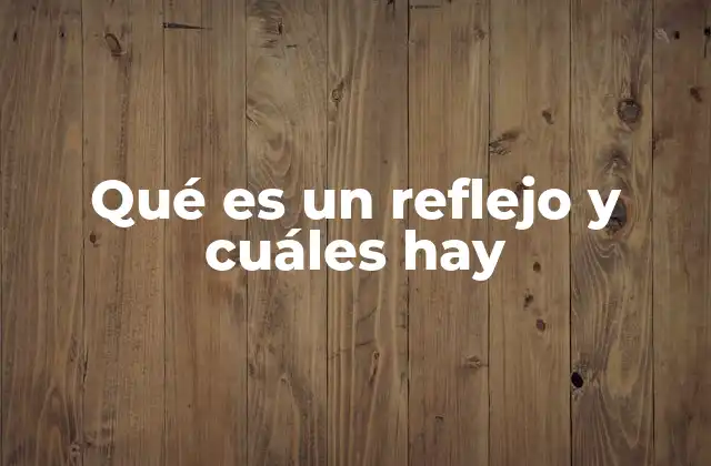 Qué es un Reflejo y Cuáles Hay