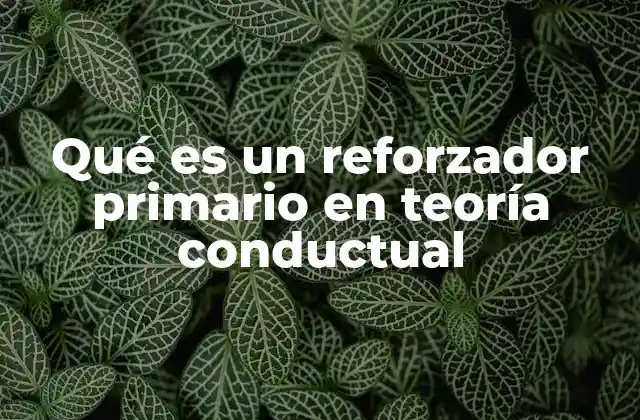 Qué es un Reforzador Primario en Teoría Conductual