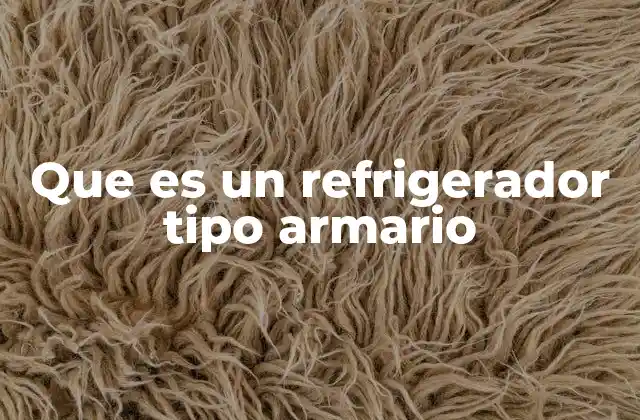 Que es un Refrigerador Tipo Armario