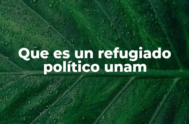 Que es un Refugiado Político Unam