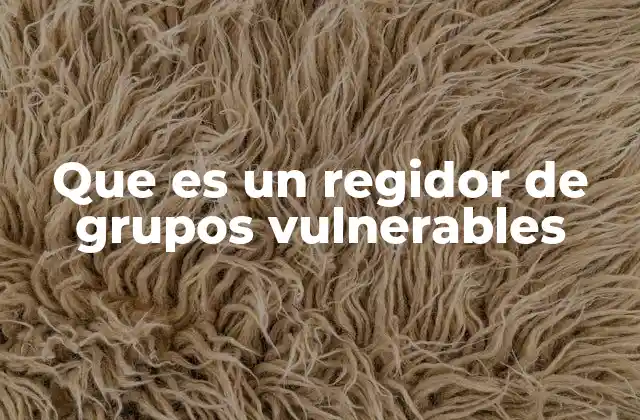 Que es un Regidor de Grupos Vulnerables