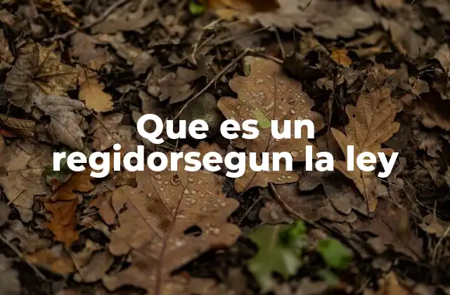 Que es un Regidorsegun la Ley