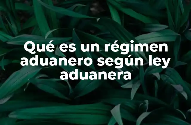 Qué es un Régimen Aduanero según Ley Aduanera