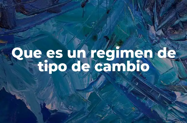 Que es un Regimen de Tipo de Cambio
