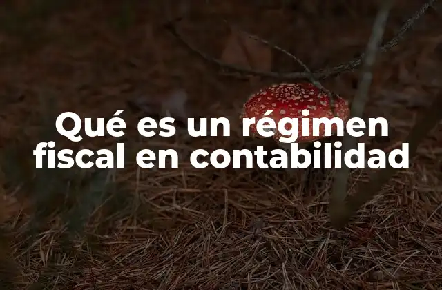Qué es un Régimen Fiscal en Contabilidad