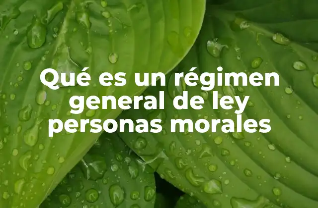Qué es un Régimen General de Ley Personas Morales 2 Características del régimen general de ley para personas morales