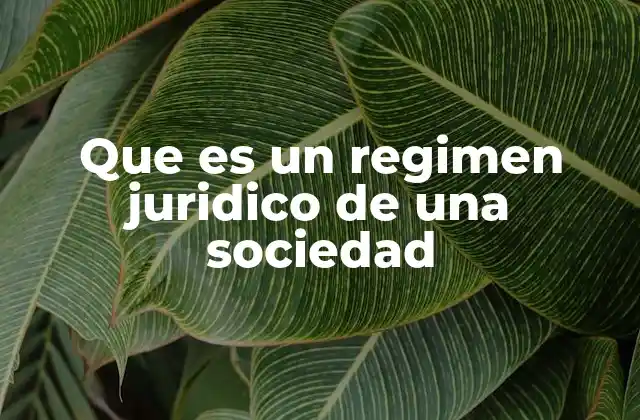 Que es un Regimen Juridico de una Sociedad
