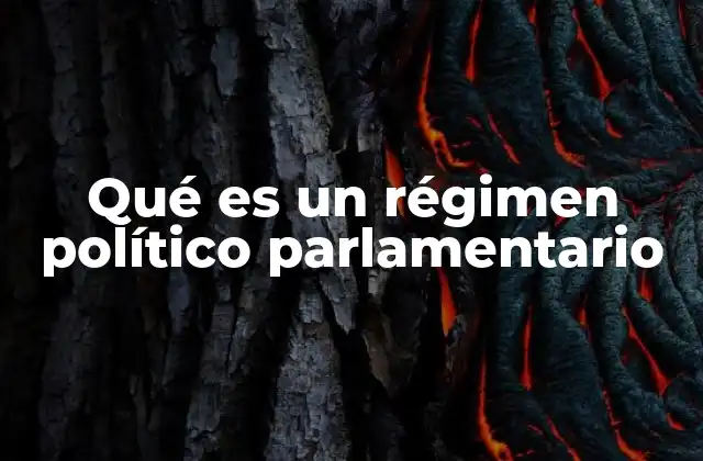 Qué es un Régimen Político Parlamentario