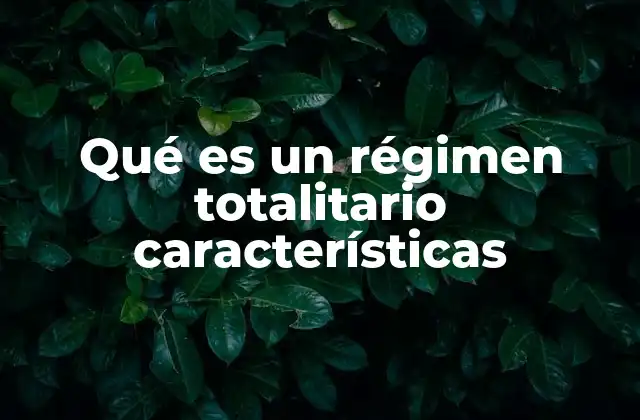 Qué es un Régimen Totalitario Características