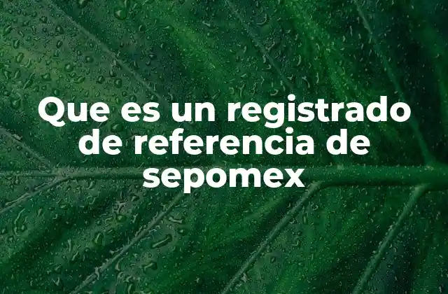 Que es un Registrado de Referencia de Sepomex 2 La importancia de los registros de referencia en sistemas oficiales