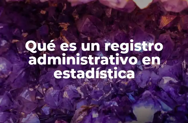 Qué es un Registro Administrativo en Estadística