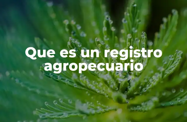 La importancia de contar con un registro en el sector rural