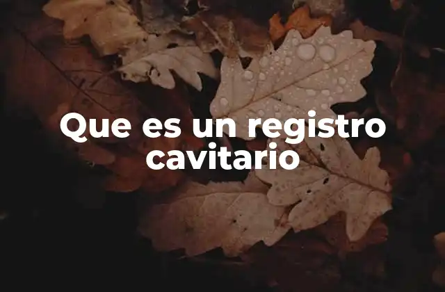 Que es un Registro Cavitario
