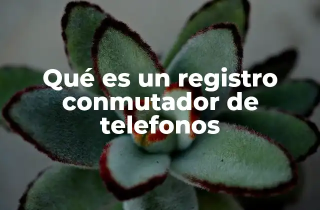 Qué es un Registro Conmutador de Telefonos 2 Cómo funciona un sistema de gestión telefónico en una empresa
