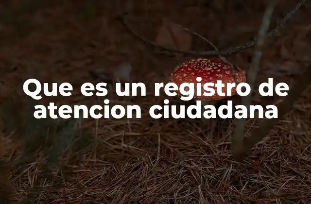 Que es un Registro de Atencion Ciudadana