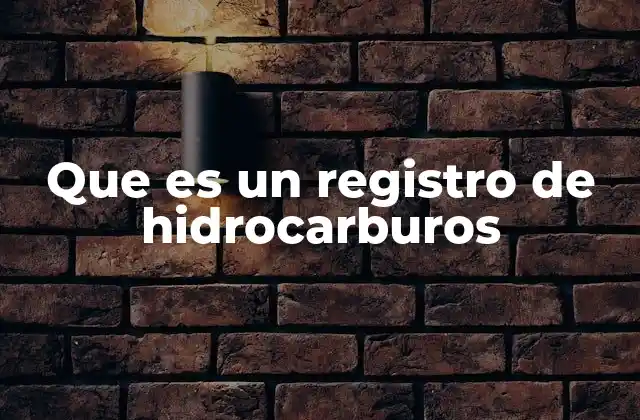 Que es un Registro de Hidrocarburos