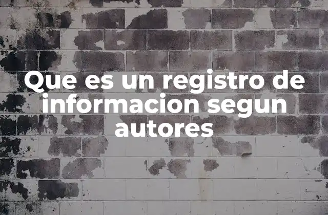 Que es un Registro de Informacion Segun Autores
