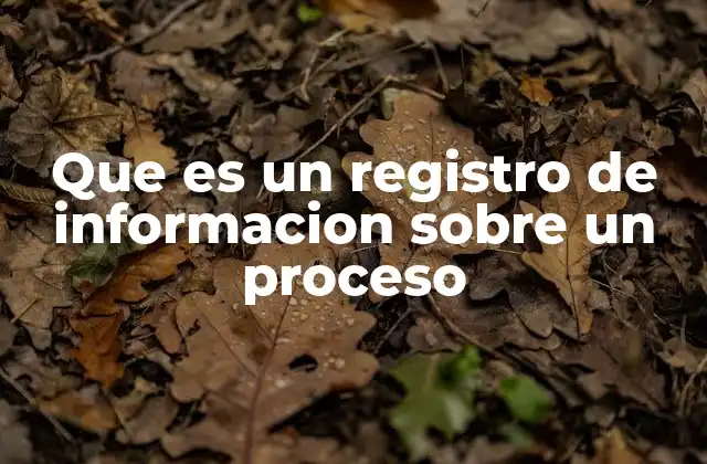 Que es un Registro de Informacion sobre un Proceso