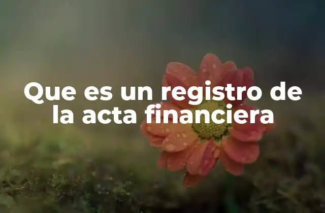 Que es un Registro de la Acta Financiera