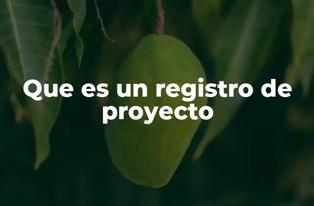 Que es un Registro de Proyecto