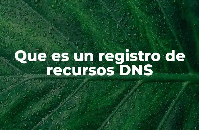 Que es un Registro de Recursos Dns
