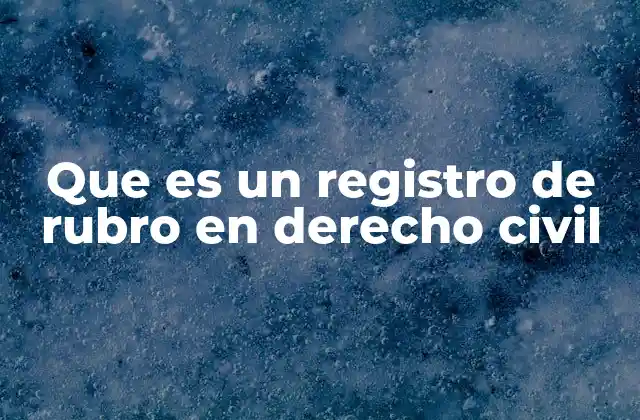 Que es un Registro de Rubro en Derecho Civil
