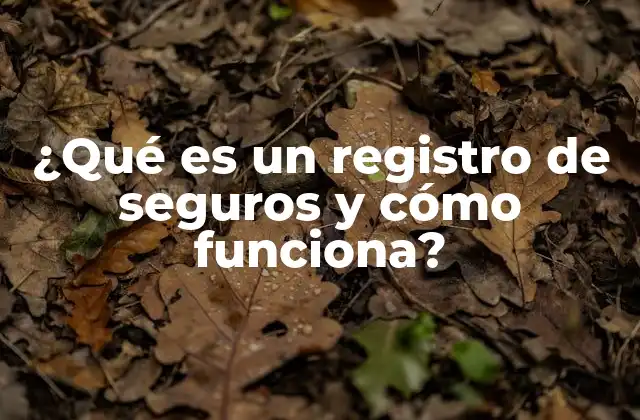 ¿qué es un Registro de Seguros y Cómo Funciona?