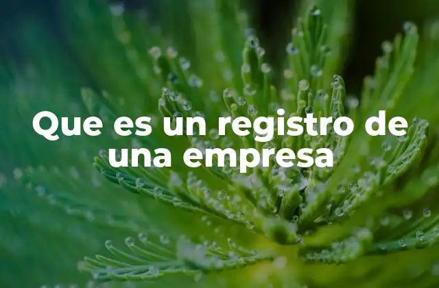 Que es un Registro de una Empresa