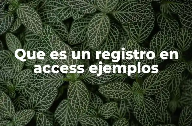 Que es un Registro en Access Ejemplos