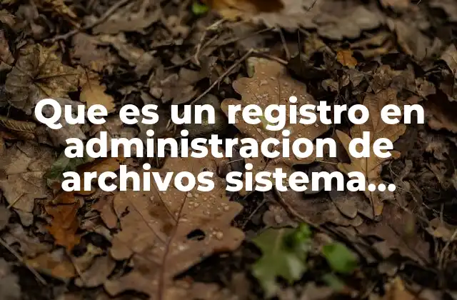 Que es un Registro en Administracion de Archivos Sistema Operativo