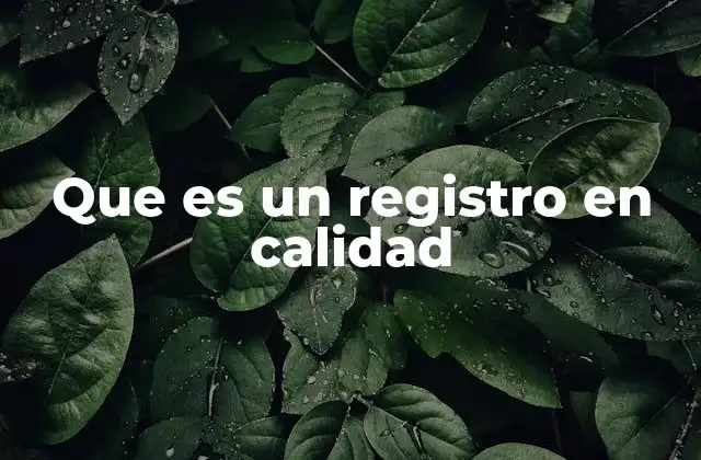 Que es un Registro en Calidad