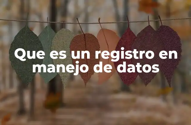 Que es un Registro en Manejo de Datos