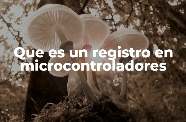 Que es un Registro en Microcontroladores 2 La importancia de los registros en la programación de microcontroladores