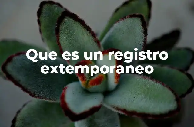 Que es un Registro Extemporaneo