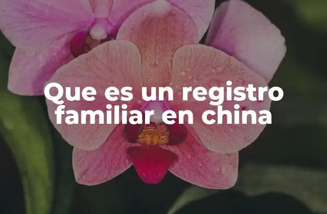 Que es un Registro Familiar en China