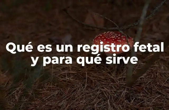 Qué es un Registro Fetal y para Qué Sirve