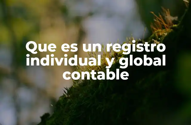 Que es un Registro Individual y Global Contable