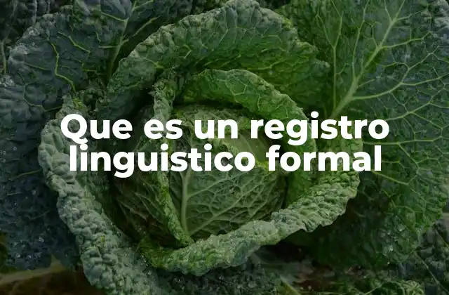 Que es un Registro Linguistico Formal