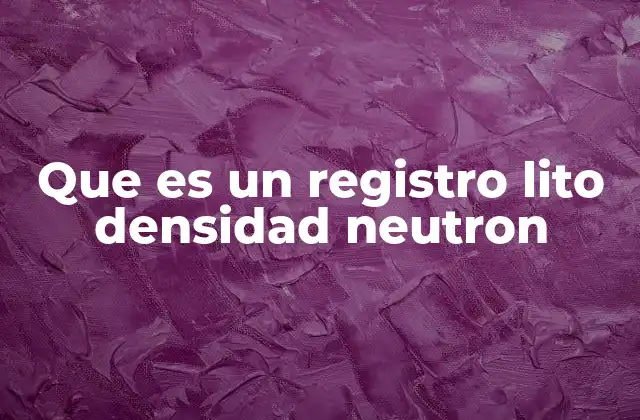 Que es un Registro Lito Densidad Neutron