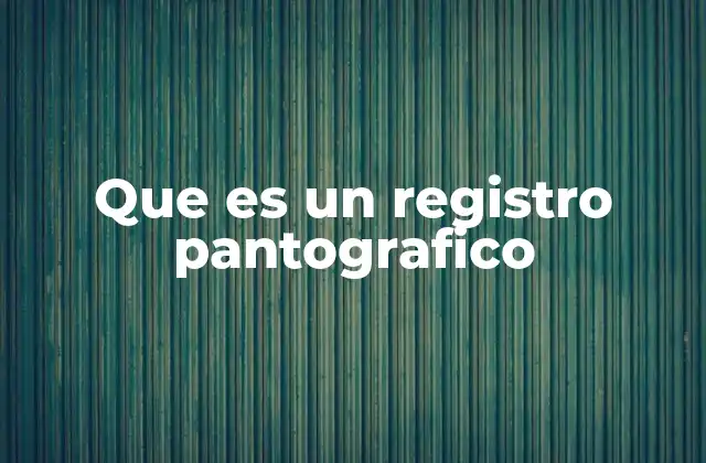 Que es un Registro Pantografico