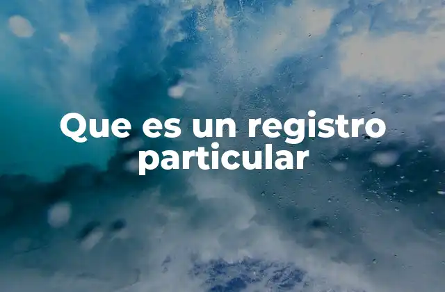 Que es un Registro Particular