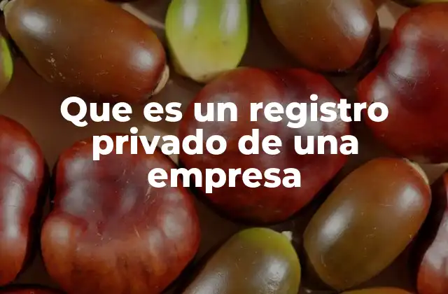 Que es un Registro Privado de una Empresa