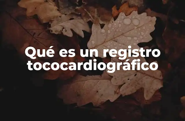 Qué es un Registro Tococardiográfico 2 El papel del tococardiograma en la medicina prenatal