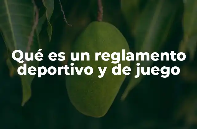 Qué es un Reglamento Deportivo y de Juego