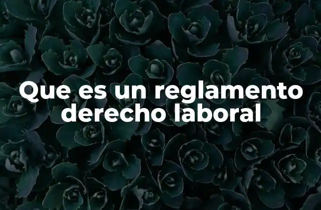 Que es un Reglamento Derecho Laboral