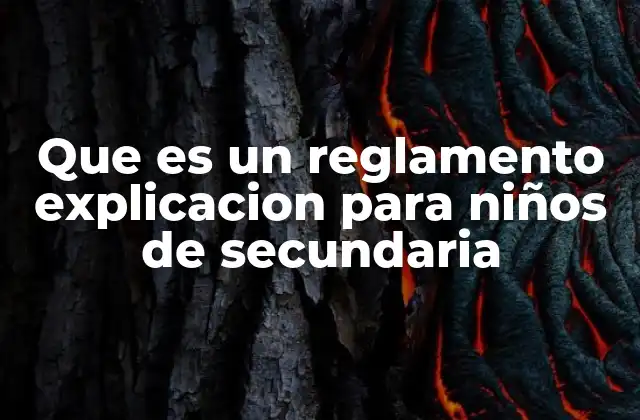 Que es un Reglamento Explicacion para Niños de Secundaria