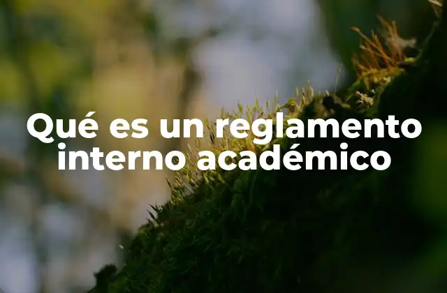 Qué es un Reglamento Interno Académico